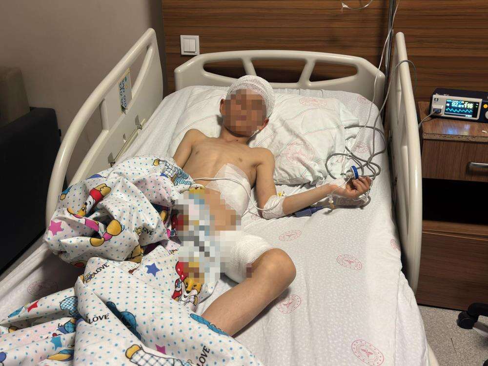 Sahipsiz köpek saldırısında ölen 5 yaşındaki Hamza toprağa verildi 8